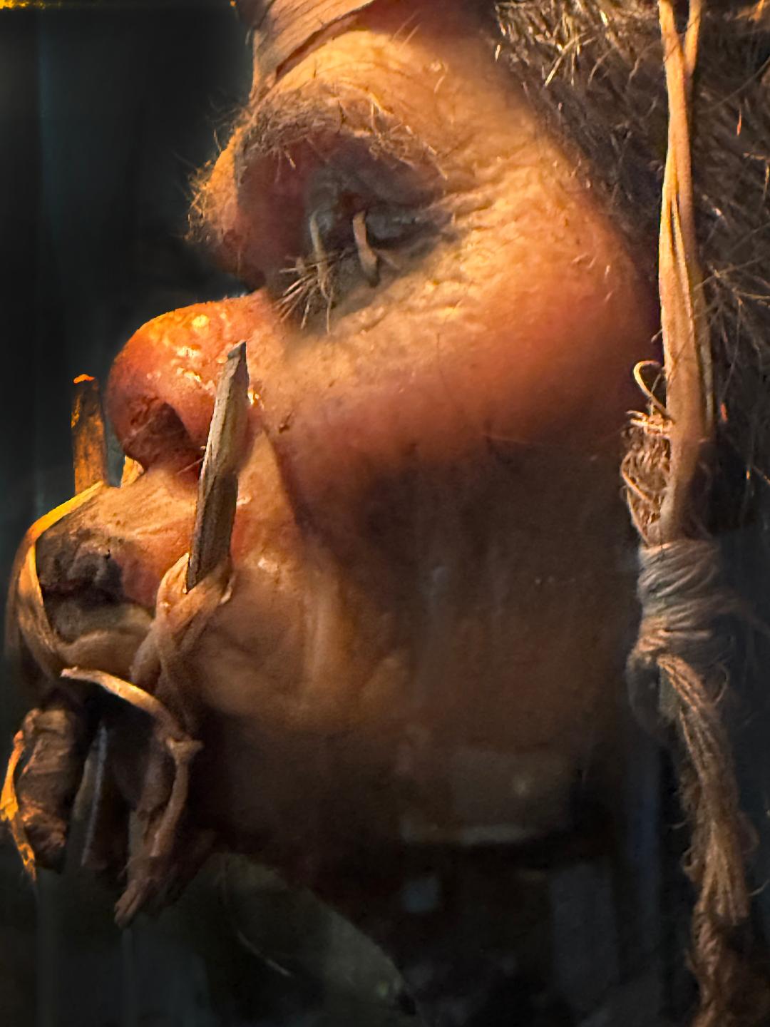 Shrunken Head #3
